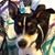 Kris Dean's profile image