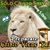 Amy S. Ortz's profile image