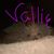Kimberly Beard's profile image