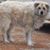 Joyce Briscoe Pierce's profile image