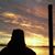 Liza Nelson's profile image