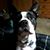 Brian Runkle's profile image