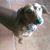 Linda Bottoms Kendrick's profile image