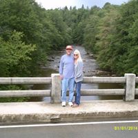 Cindy Wassell's profile image