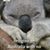 Lori Scinto's profile image