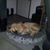Mike Masson's profile image
