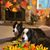 Connie Wardlaw's profile image