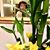 Betty Tam's profile image