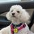 Cindy Hickman Flanary's profile image