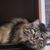 Sandi Smallwood's profile image