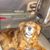 Donna Monk's profile image