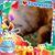 Leslie Mann's profile image