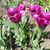 Eileen E. Gallo's profile image