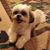 Dot Maxwell's profile image