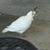 Ann Nydam's profile image