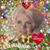 Misty Gladney Mulkey's profile image