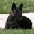 Mildred Mapp's profile image