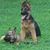 Chrissy Kurson's profile image