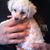 Kevin Kroner's profile image