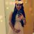 Marlenne Calvillo's profile image