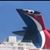 Tina Pickett Johnson's profile image