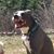 Laila Noaman Anderson's profile image