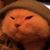 Paula Schneider's profile image