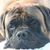 Kathy Glynn's profile image