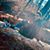 Kelli Marie Curtiss's profile image
