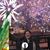 Tina Strnad Peters's profile image