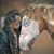 Teresa Nelson's profile image