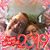 Karen Richard's profile image