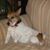 Alyne Emma Hallman's profile image