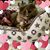 Bobbi Roche's profile image