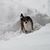 Paige B Laurell's profile image