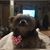 Carolyn Schueth's profile image
