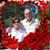 Marilyn Dickey's profile image