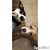 StaceyAnn Lane Crump's profile image