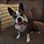 Jeri Sandefur's profile image