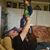 Jason Polhemus's profile image