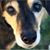 Nickala Squire's profile image