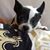 Patti Neustaedter's profile image