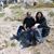 Nadia Farooqi's profile image