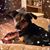 Holly Lawder's profile image