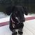 Jules Keating Dobry's profile image