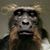 Larry Sadlocha's profile image