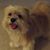 Leslie Gallegos Garon's profile image