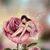 Mary Ford's profile image
