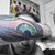 David Freyre's profile image