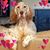 Daniela Suarez's profile image